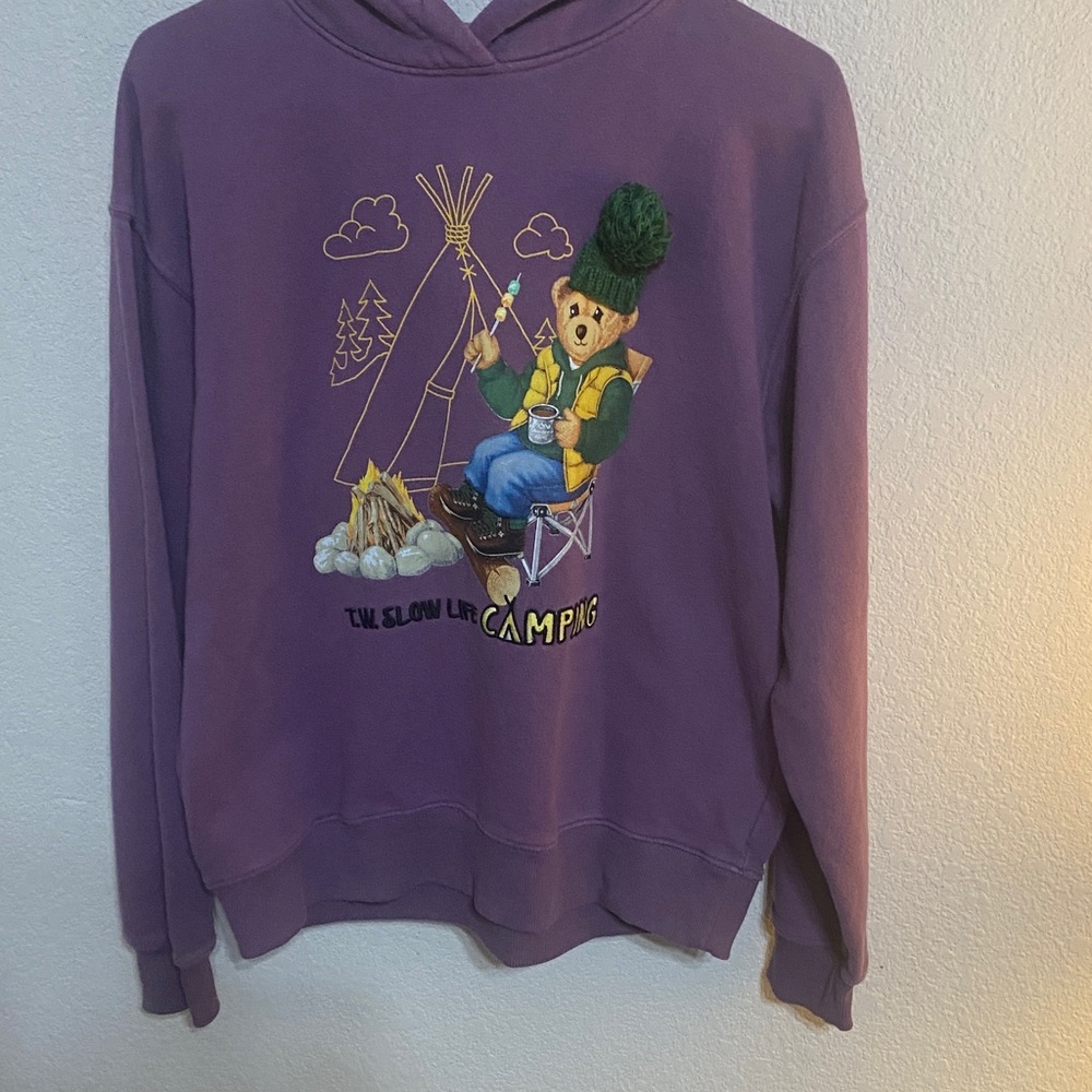 Teenie Weenie Purple Hoodie with Green-Beanie Bear Graphic